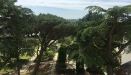 BUTTE STE ANNE – T3 avec vue sur parc BUTTE STE ANNE – T3 avec vue sur parc