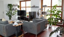 APPARTEMENT 110 M² SAINTE ANNE