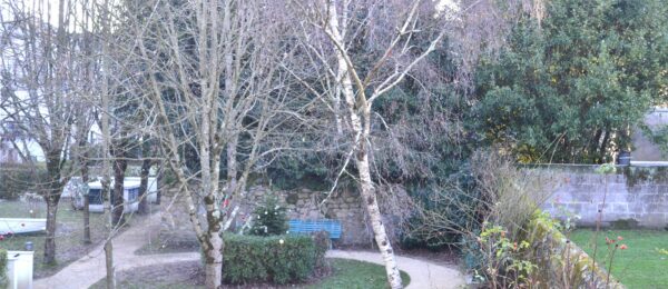 BUTTE STE ANNE – Apt T2 – Parking